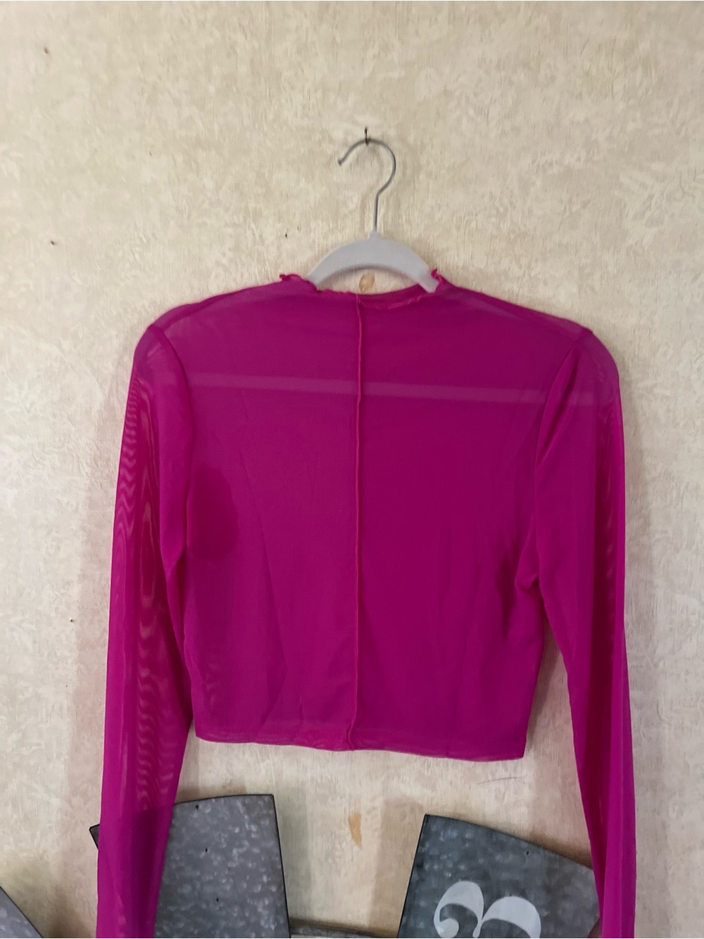 Sheer (mesh) Magenta Long-Sleeve Crop Top